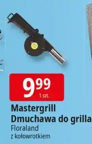 E.Leclerc Dmuchawa do grilla mg226 Floraland oferta