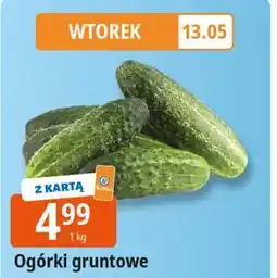 E.Leclerc Ogórek gruntowy oferta