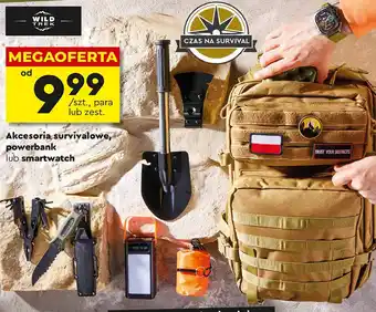 Biedronka Akcesoria survivalowe Wild Trek oferta
