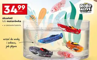 Biedronka Motorówka oferta