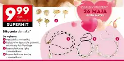 Biedronka Bransoletka z muszelkami na kostkę Cat&Cat oferta