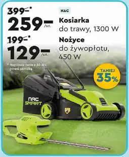 Biedronka Kosiarka elektryczna oferta
