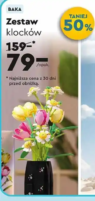 Biedronka Zestaw klocków kwiatki Baka oferta