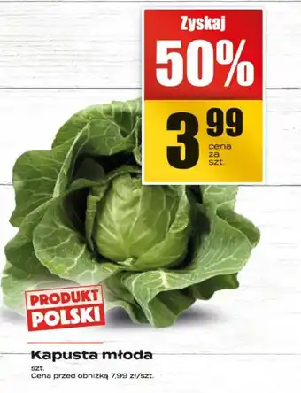 Supeco Kapusta młoda Supeco oferta