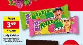 Społem Lody Kaktus oferta