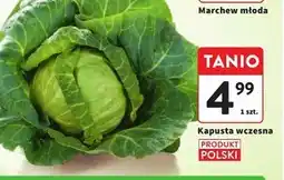 Intermarche Kapusta młoda Polski oferta