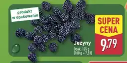 ALDI Jeżyny oferta