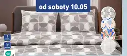 ALDI NOVITESSE Pościel z makosatyny oferta