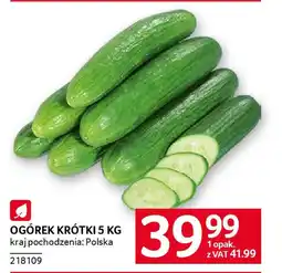 Selgros Ogórek krótki oferta