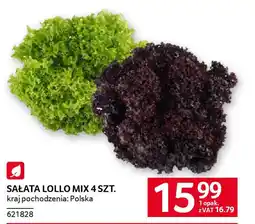 Selgros Sałata lollo mix oferta