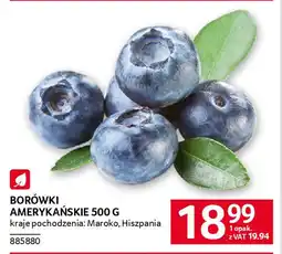 Selgros Borówki amerykańskie oferta
