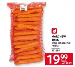 Selgros Marchew oferta