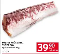 Selgros Miętus królewski tusza box oferta