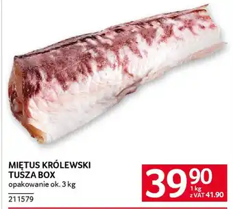 Selgros Miętus królewski tusza box oferta
