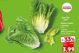 Kaufland Sałata rzymska oferta