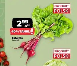Netto Botwinka Polski oferta