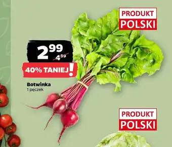 Netto Botwinka Polski oferta