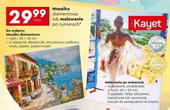 Biedronka Mozaika diamentowa lub malowanie po numerach oferta