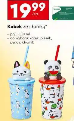 Biedronka Kubek ze słomką oferta