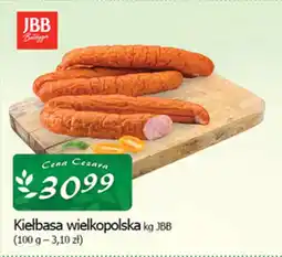 Cezar Delikatesy Kiełbasa wielkopolska jbb oferta