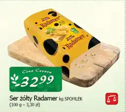 Cezar Delikatesy Ser żółty radamer spomlek oferta