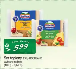 Cezar Delikatesy Ser topiony hochland oferta