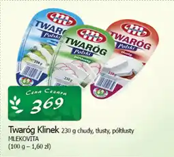 Cezar Delikatesy Twaróg klinek mlekovita oferta