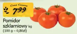 Cezar Delikatesy Pomidor szklarniowy oferta