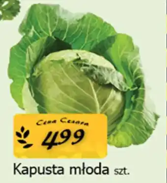 Cezar Delikatesy Kapusta młoda oferta