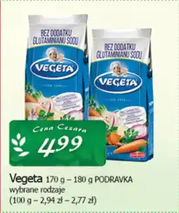 Cezar Delikatesy Vegeta podravka oferta