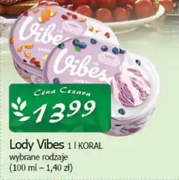 Cezar Delikatesy Lody vibes koral oferta