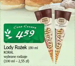 Cezar Delikatesy Lody rożek koral oferta