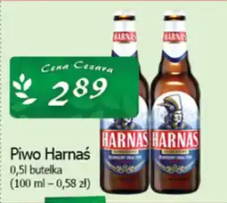 Cezar Delikatesy Piwo Harnaś oferta