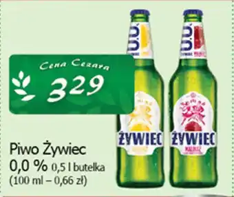 Cezar Delikatesy Piwo Żywiec 0,0% oferta