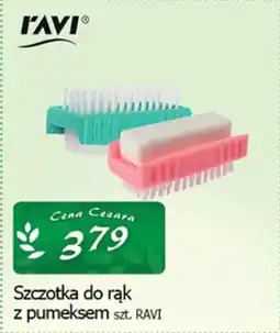 Cezar Delikatesy Szczotka do rąk z pumeksem ravi oferta