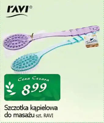 Cezar Delikatesy Szczotka kąpielowa do masażu ravi oferta