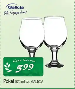Cezar Delikatesy Pokal galicja oferta
