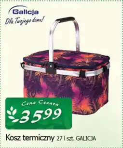 Cezar Delikatesy Kosz termiczny oferta