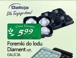 Cezar Delikatesy Foremki do lodu diament galicja oferta