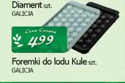 Cezar Delikatesy Foremki do lodu kule galicja oferta