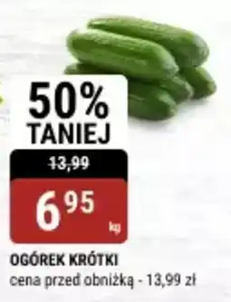 bi1 Ogórek krótki oferta
