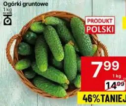 Delikatesy Centrum Ogórki gruntowe 1 kg Delikatesy Centrum oferta