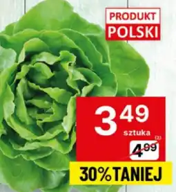 Delikatesy Centrum Sałata masłowa 1 szt Delikatesy Centrum oferta