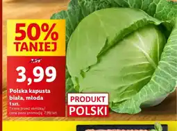 Lidl Polska kapusta biała, młoda oferta