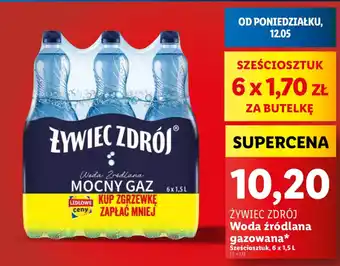Lidl Zywiec Zdrój oferta