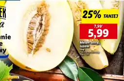 Lidl Melon żółty oferta