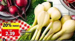 Lidl Polska cebula dymka oferta
