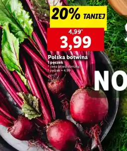 Lidl Polska botwina oferta