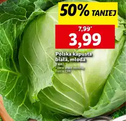 Lidl Polska kapusta biała, młoda oferta