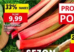 Lidl Polski rabarbar oferta
